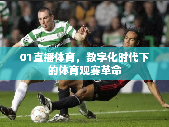 01直播体育，数字化时代下的体育观赛革命