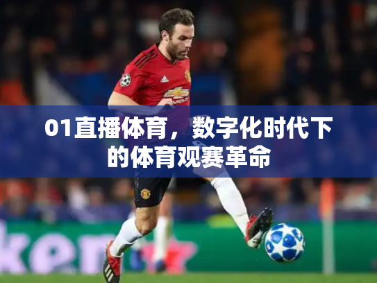 01直播体育，数字化时代下的体育观赛革命