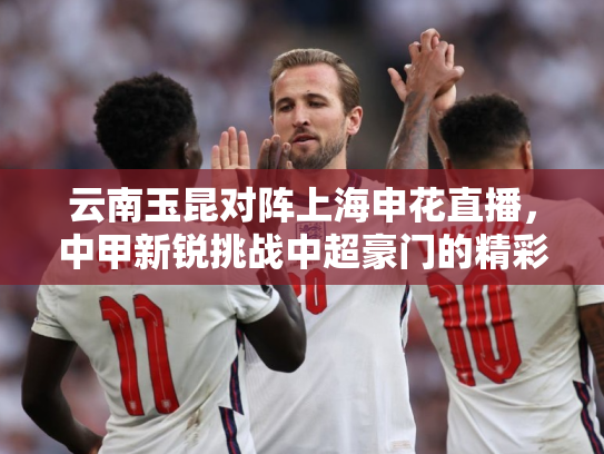 云南玉昆对阵上海申花直播，中甲新锐挑战中超豪门的精彩对决