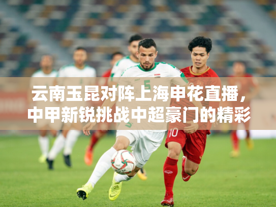 云南玉昆对阵上海申花直播，中甲新锐挑战中超豪门的精彩对决