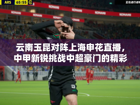 云南玉昆对阵上海申花直播，中甲新锐挑战中超豪门的精彩对决