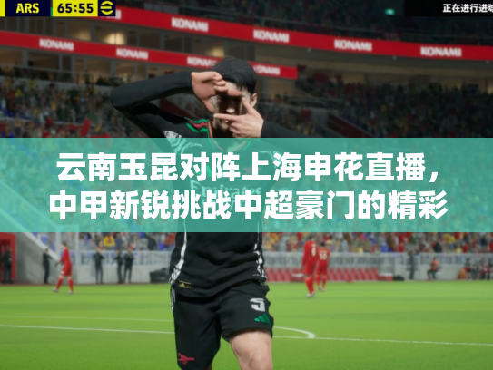 云南玉昆对阵上海申花直播，中甲新锐挑战中超豪门的精彩对决