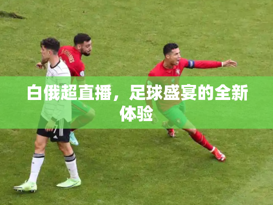 白俄超直播，足球盛宴的全新体验