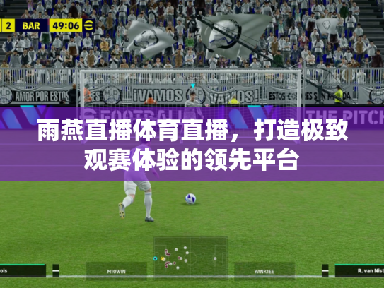 雨燕直播体育直播，打造极致观赛体验的领先平台