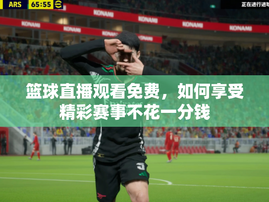篮球直播观看免费，如何享受精彩赛事不花一分钱