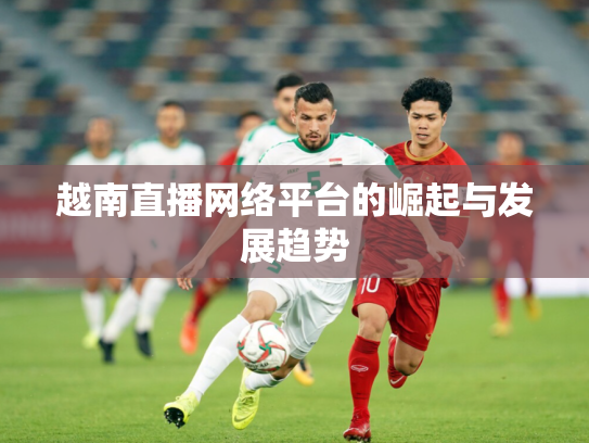 越南直播网络平台的崛起与发展趋势