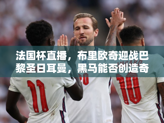 法国杯直播，布里欧奇迎战巴黎圣日耳曼，黑马能否创造奇迹？