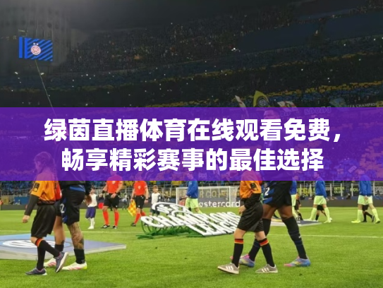 绿茵直播体育在线观看免费，畅享精彩赛事的最佳选择