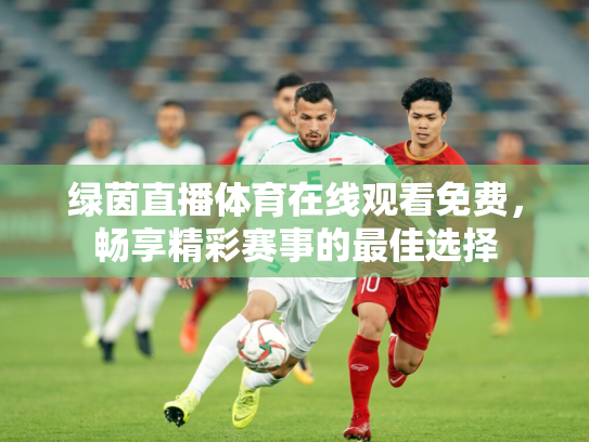 绿茵直播体育在线观看免费，畅享精彩赛事的最佳选择