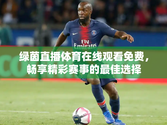 绿茵直播体育在线观看免费，畅享精彩赛事的最佳选择