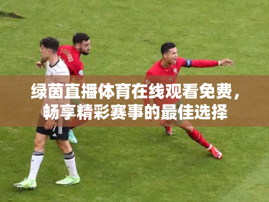 绿茵直播体育在线观看免费，畅享精彩赛事的最佳选择