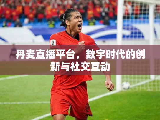 丹麦直播平台，数字时代的创新与社交互动