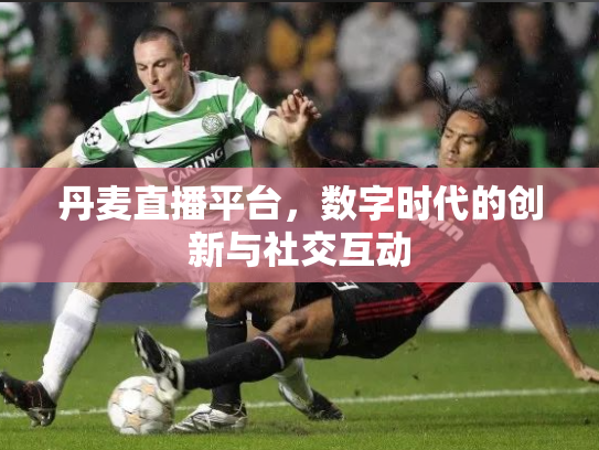 丹麦直播平台，数字时代的创新与社交互动