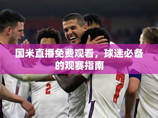 国米直播免费观看，球迷必备的观赛指南