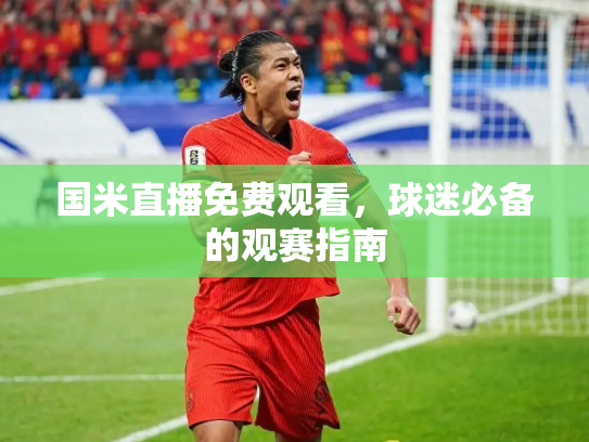 国米直播免费观看，球迷必备的观赛指南