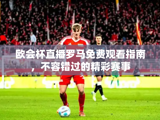 欧会杯直播罗马免费观看指南，不容错过的精彩赛事