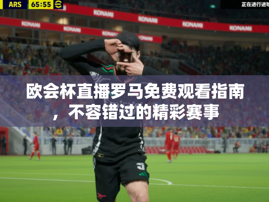 欧会杯直播罗马免费观看指南，不容错过的精彩赛事