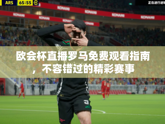 欧会杯直播罗马免费观看指南，不容错过的精彩赛事