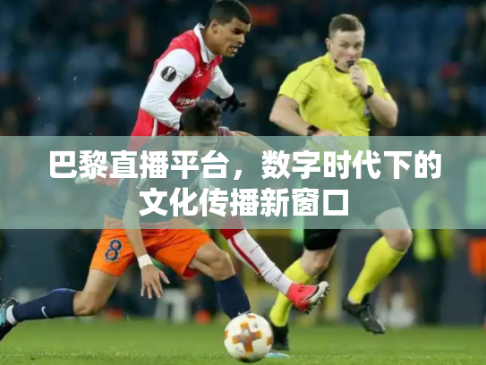 巴黎直播平台，数字时代下的文化传播新窗口