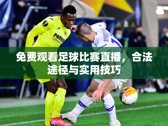 免费观看足球比赛直播，合法途径与实用技巧