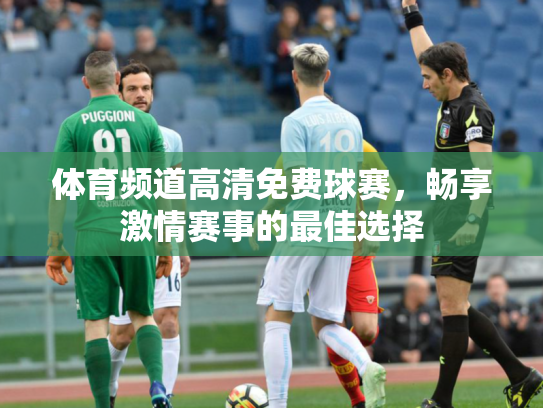 体育频道高清免费球赛，畅享激情赛事的最佳选择