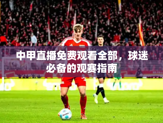 中甲直播免费观看全部，球迷必备的观赛指南
