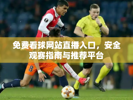 免费看球网站直播入口，安全观赛指南与推荐平台