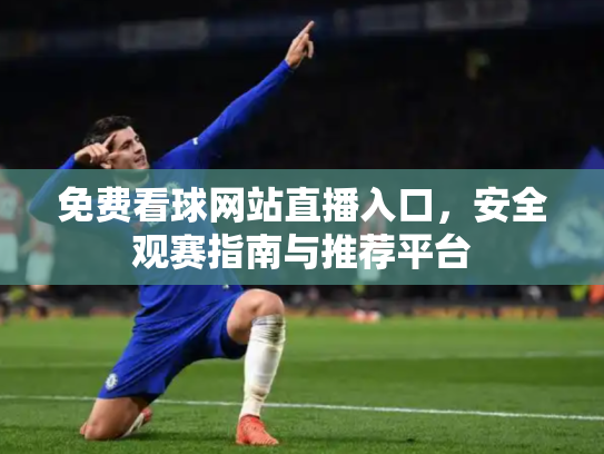 免费看球网站直播入口，安全观赛指南与推荐平台