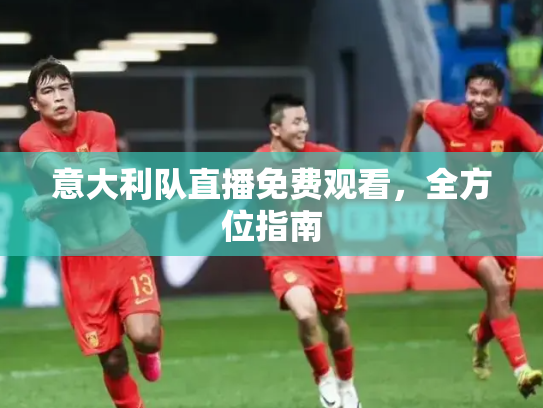 意大利队直播免费观看，全方位指南