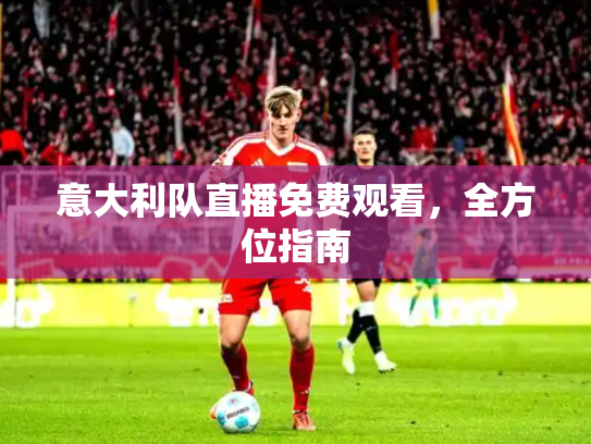 意大利队直播免费观看，全方位指南