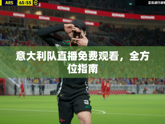 意大利队直播免费观看，全方位指南