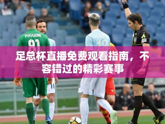 足总杯直播免费观看指南，不容错过的精彩赛事