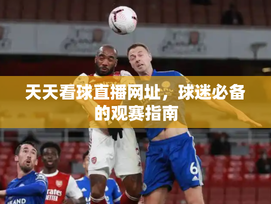 天天看球直播网址，球迷必备的观赛指南