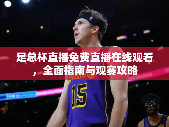 足总杯直播免费直播在线观看，全面指南与观赛攻略
