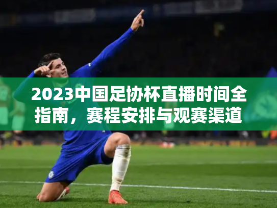 2023中国足协杯直播时间全指南，赛程安排与观赛渠道