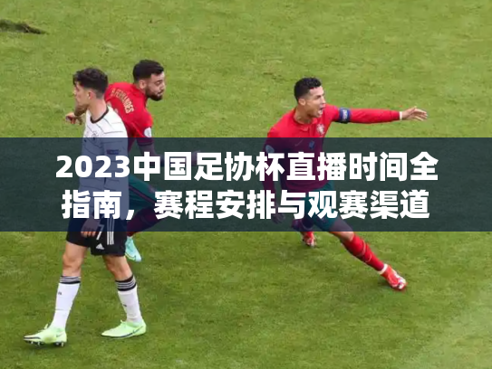 2023中国足协杯直播时间全指南，赛程安排与观赛渠道