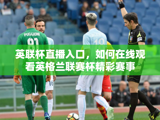 英联杯直播入口，如何在线观看英格兰联赛杯精彩赛事