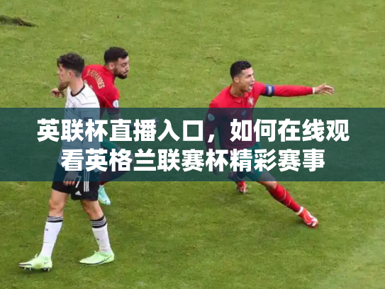 英联杯直播入口，如何在线观看英格兰联赛杯精彩赛事