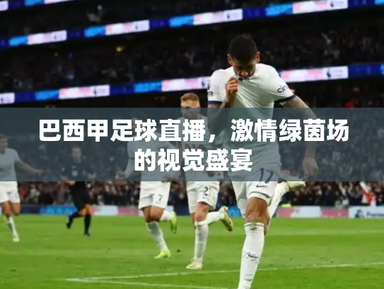 巴西甲足球直播，激情绿茵场的视觉盛宴