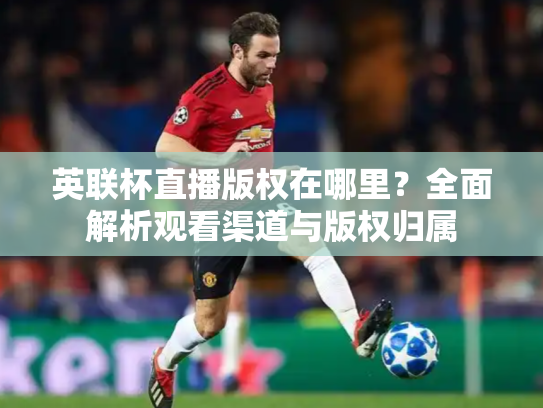 英联杯直播版权在哪里？全面解析观看渠道与版权归属
