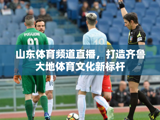 山东体育频道直播，打造齐鲁大地体育文化新标杆