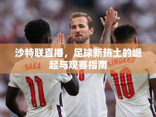 沙特联直播，足球新热土的崛起与观赛指南