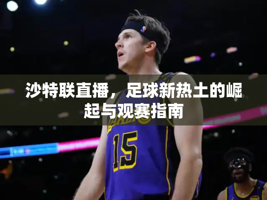 沙特联直播，足球新热土的崛起与观赛指南