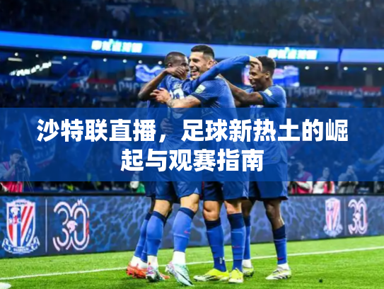 沙特联直播，足球新热土的崛起与观赛指南