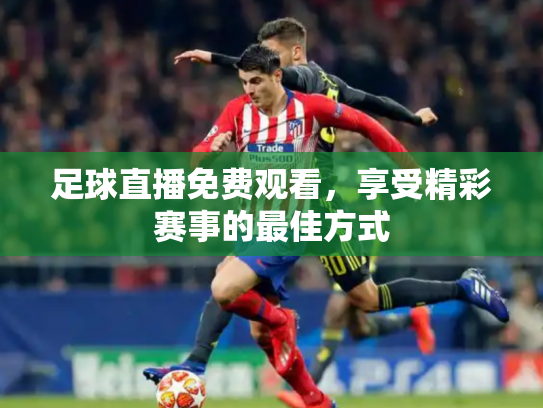足球直播免费观看，享受精彩赛事的最佳方式
