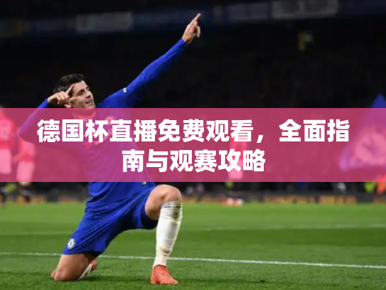 德国杯直播免费观看，全面指南与观赛攻略