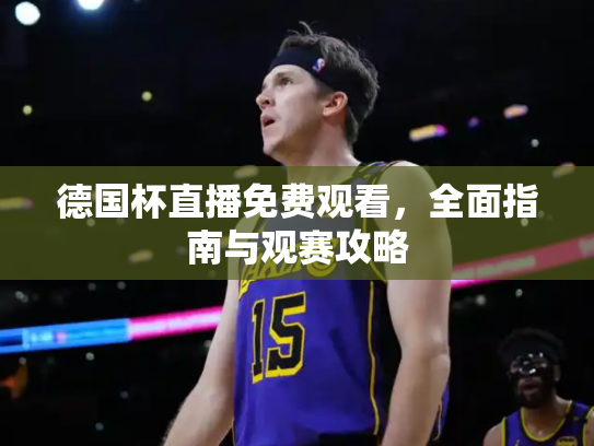德国杯直播免费观看，全面指南与观赛攻略
