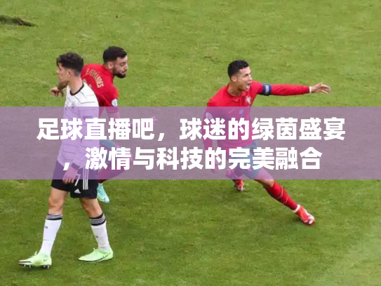 足球直播吧，球迷的绿茵盛宴，激情与科技的完美融合