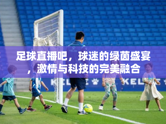 足球直播吧，球迷的绿茵盛宴，激情与科技的完美融合
