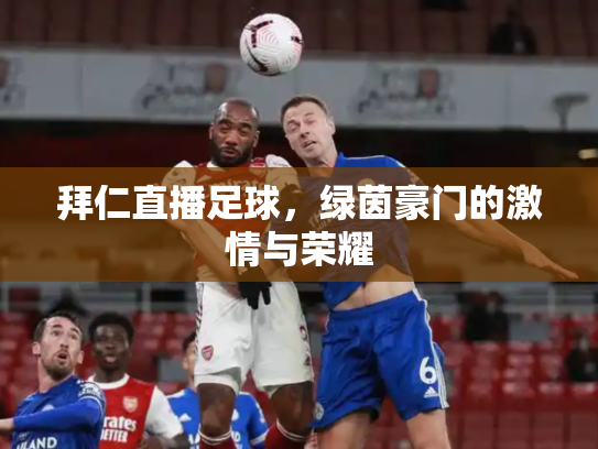 拜仁直播足球，绿茵豪门的激情与荣耀